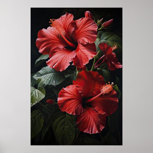 Rode Hibiscus Bloemenkunst Print Poster (Voorkant)