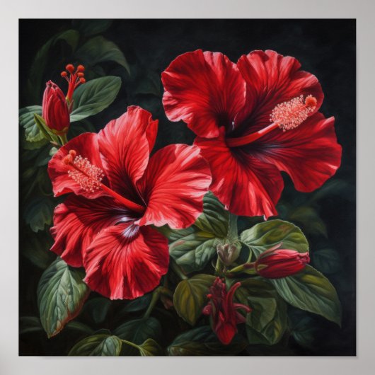 Rode Hibiscus Bloemenkunst Print Poster (Voorkant)