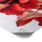 Rode Hibiscus Bloemenkunst Print Poster (Hoek)