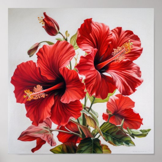 Rode Hibiscus Bloemenkunst Print Poster (Voorkant)