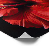 Rode Hibiscus Bloemenkunst Print Poster (Hoek)