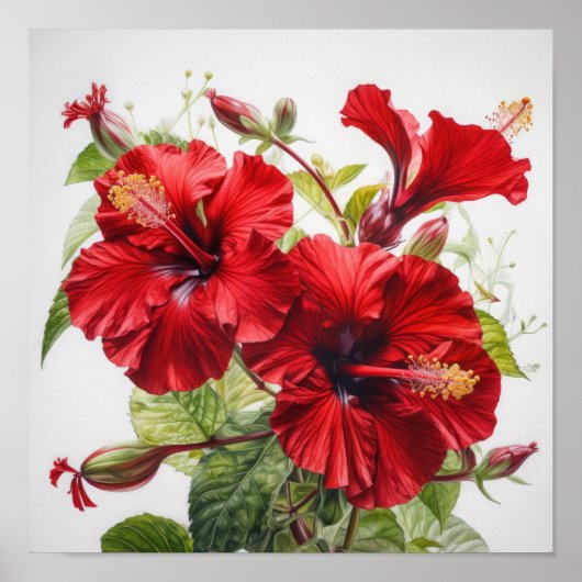 Rode Hibiscus Bloemenkunst Print Poster (Voorkant)