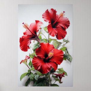 Rode Hibiscus Bloemenkunst Print Poster