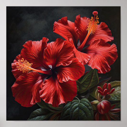 Rode Hibiscus Bloemenkunst Print Poster (Voorkant)