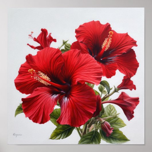 Rode Hibiscus Bloemenkunst Print Poster (Voorkant)