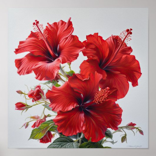 Rode Hibiscus Bloemenkunst Print Poster (Voorkant)