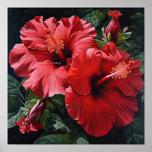 Rode Hibiscus Bloemenkunst Print Poster (Voorkant)