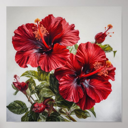 Rode Hibiscus Bloemenkunst Print Poster (Voorkant)
