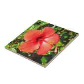 Rode Hibiscus bloemig Tegeltje (Zijkant)