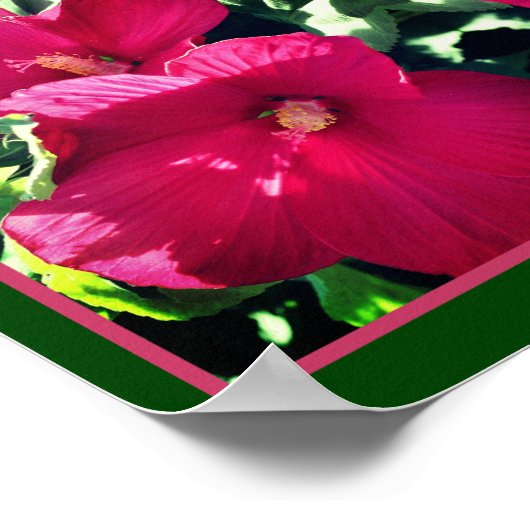 Rode Hibiscus Bloempaar Close-up Mirror Abstract Poster (Hoek)