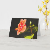 Rode Hibiscus, Brenda's bloem Kaart (Gele Bloem)