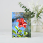 Rode Hibiscus Briefkaart (Staand voorkant)