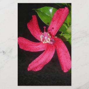 rode hibiscus briefpapier