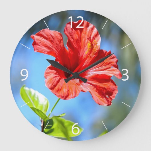 Rode Hibiscus Grote Klok (Voorkant)