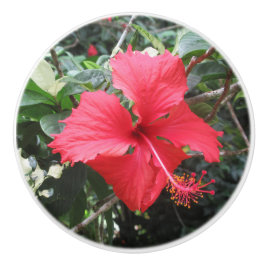 Rode Hibiscus-ladeknop Keramische Knop
