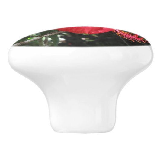 Rode Hibiscus-ladeknop Keramische Knop (Zijkant)