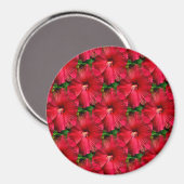 Rode Hibiscus........ Magneet (Voorkant / Achterkant)