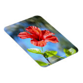 Rode Hibiscus Magneet (Rechterzijde)
