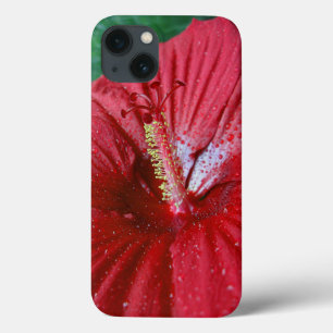 Rode Hibiscus Met Regendruppels Case-Mate iPhone Case