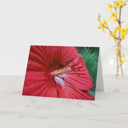 Rode Hibiscus met Regendruppels Kaart (Gele Bloem)