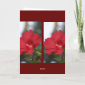 Rode Hibiscus, Mijn Geheime Vriend Kaart (Achterkant)