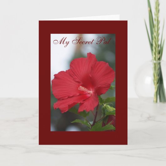 Rode Hibiscus, Mijn Geheime Vriend Kaart (Voorkant)