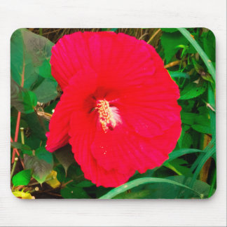 Rode Hibiscus Muismat