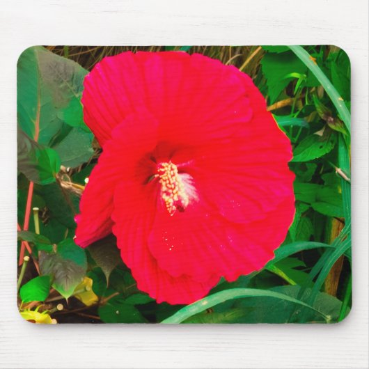 Rode Hibiscus Muismat (Voorkant)