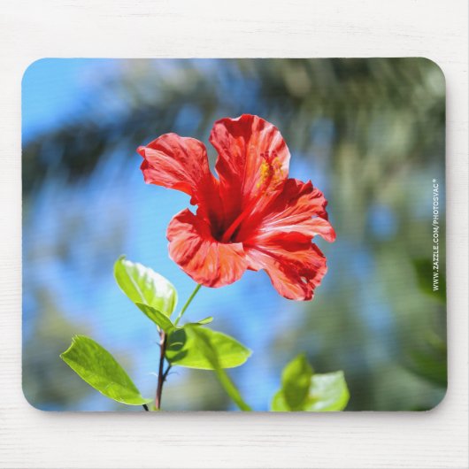 Rode Hibiscus Muismat (Voorkant)