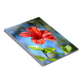 Rode Hibiscus Notitieboek (Rechterzijde)