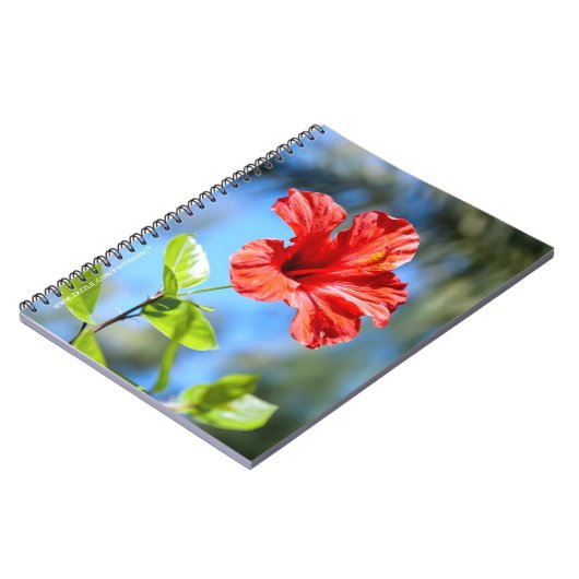 Rode Hibiscus Notitieboek (Linkerzijde)