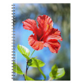 Rode Hibiscus Notitieboek (Voorkant)