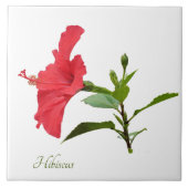 rode hibiscus op wit tegeltje (Voorkant)