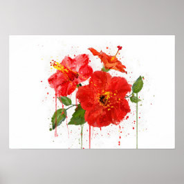 Rode Hibiscus Poster