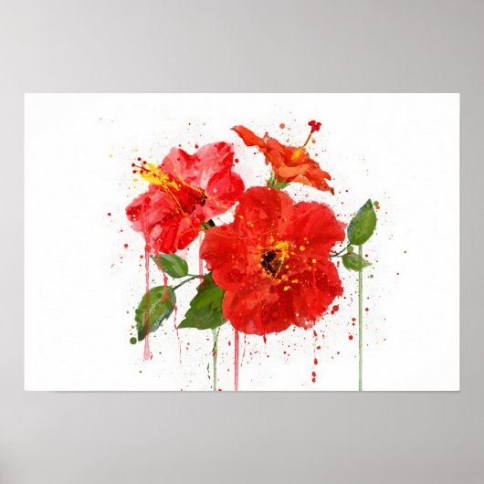 Rode Hibiscus Poster (Voorkant)