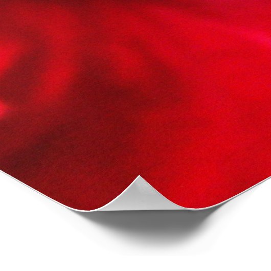 Rode hibiscus poster (Hoek)