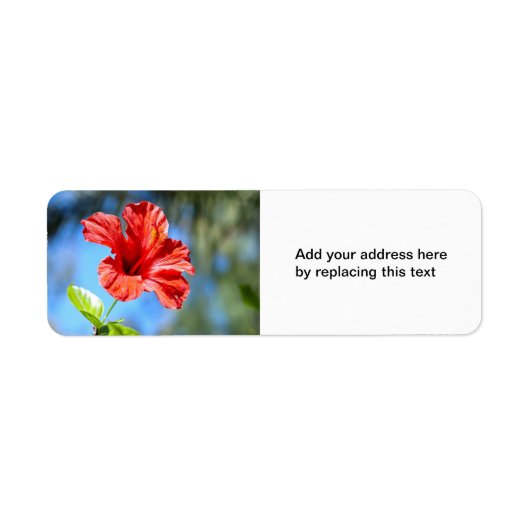 Rode Hibiscus Retouradreslabel Etiket (Voorkant)