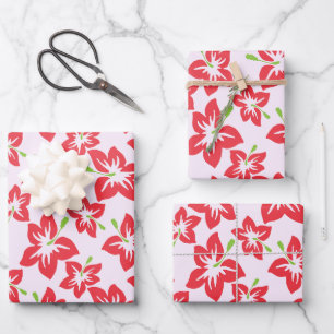 Rode hibiscus, rode bloemen, patroon van bloemen inpakpapier vel