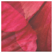 Rode Hibiscus...... Stof (Close Up)