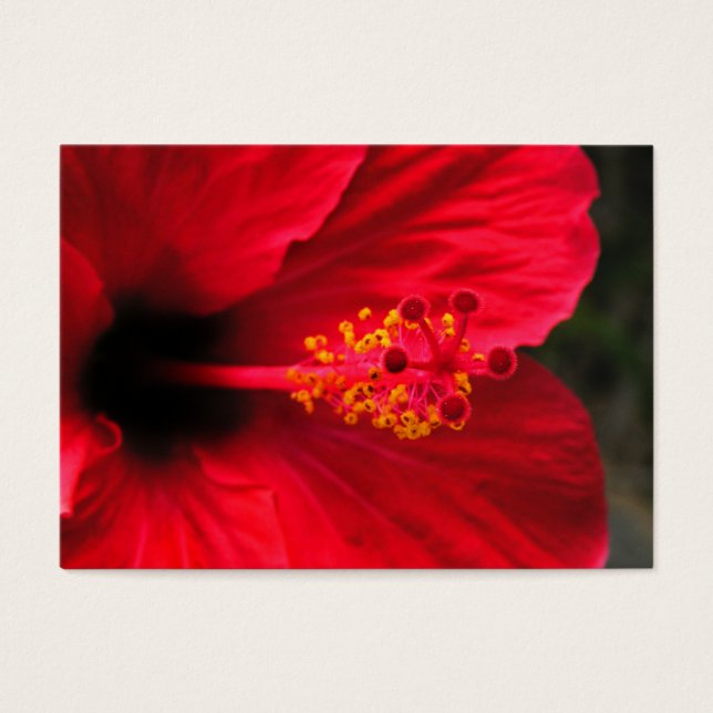 Rode hibiscus visitekaartje (Voorkant)