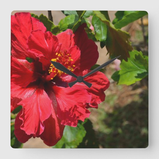 Rode Hibiscus Wandklok (Voorkant)
