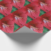 Rode Hibiscusbloem met regendruppels Foto Cadeaupapier (Hoek)