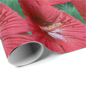 Rode Hibiscusbloem met regendruppels Foto Cadeaupapier (Rol Hoek)