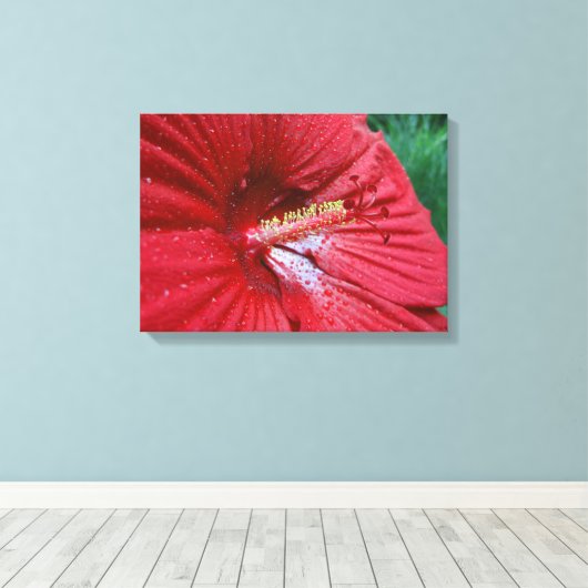 Rode Hibiscusbloem met regendruppels Foto Canvas Afdruk (Insitu (Houten vloer))