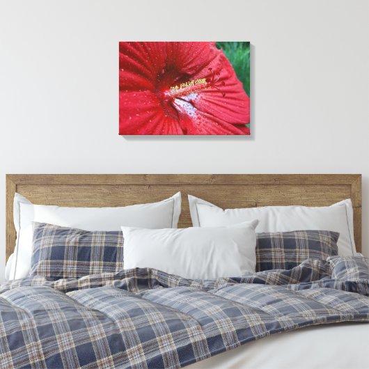 Rode Hibiscusbloem met regendruppels Foto Canvas Afdruk (Insitu (Slaapkamer))