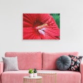 Rode Hibiscusbloem met regendruppels Foto Canvas Afdruk (Insitu (Woonkamer))