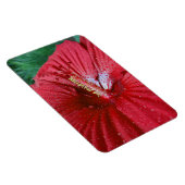 Rode Hibiscusbloem met regendruppels Foto Magneet (Rechterzijde)