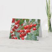 Rode Holly bessen in de sneeuw Kerstvakantie Kaart (Voorkant)