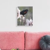 Rode hond (Agelaius phoeniceus) Canvas Afdruk (Insitu (Woonkamer))