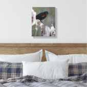 Rode hond (Agelaius phoeniceus) Canvas Afdruk (Insitu (Slaapkamer))